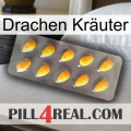 Drachen Kräuter cialis1